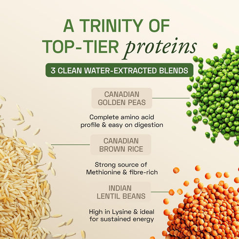 Ace Blend Unflavoured Plant Protein Triple Complex