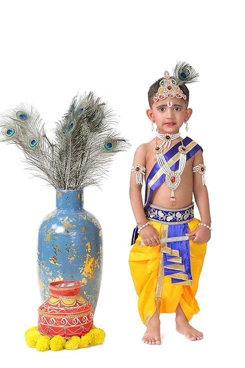 Raj Fancy Dresses Krishna Dress for Kids, Baby Krishna Dress for Janmashtami with Krishna Mukut