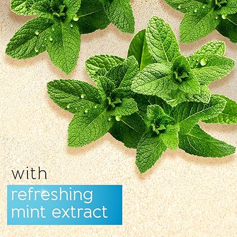 Pears Pure & Gentle Mint Extract Body Wash