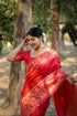 Vasthrlay Tussar Handloom Saree