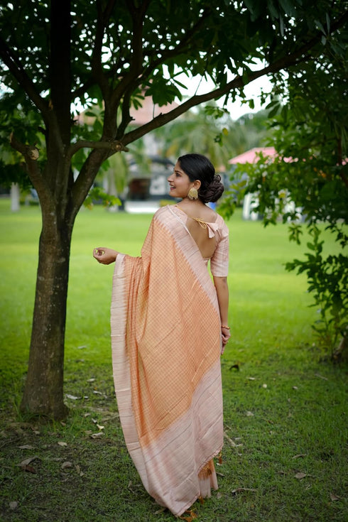 Vasthrlay Silk Saree Solid Design Pure