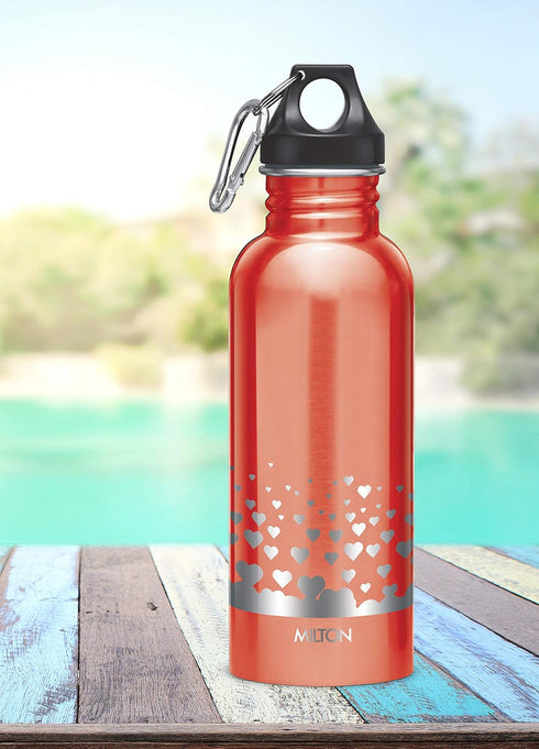 Milton Alive Stainless Steel Bottle- CL Sale