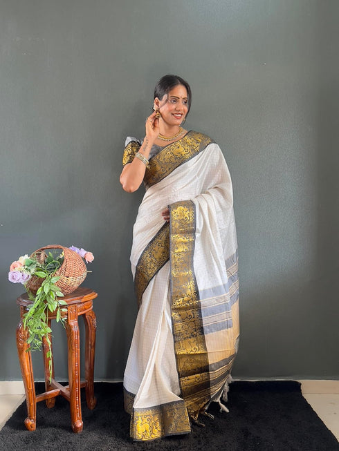 Vasthrlay Kanjivaram Traditional Contrast Included
