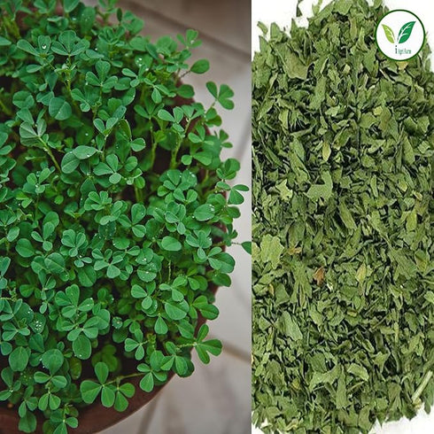 Agri Farm Iagrifarm Fenugreek (Methi) Cultivation Seeds