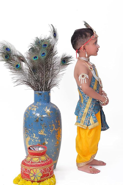 Raj Fancy Dresses Krishna Dress for Kids, Baby Krishna Dress for Janmashtami with Krishna Mukut