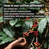Black Baza Coffee Wanderoo Organic Arabica Ground Coffee 250g