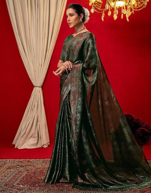 Vasthrlay Chiffon Printed Unstitched Black Saree