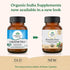 Organic India Breathe Free Veg Capsules