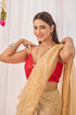Vasthrlay Beige Plain Shimmer Saree With Sequin Border Andunstitched Blouse Piece