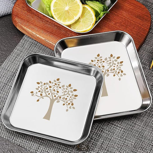 Stainless Steel Square Plate Set of 6