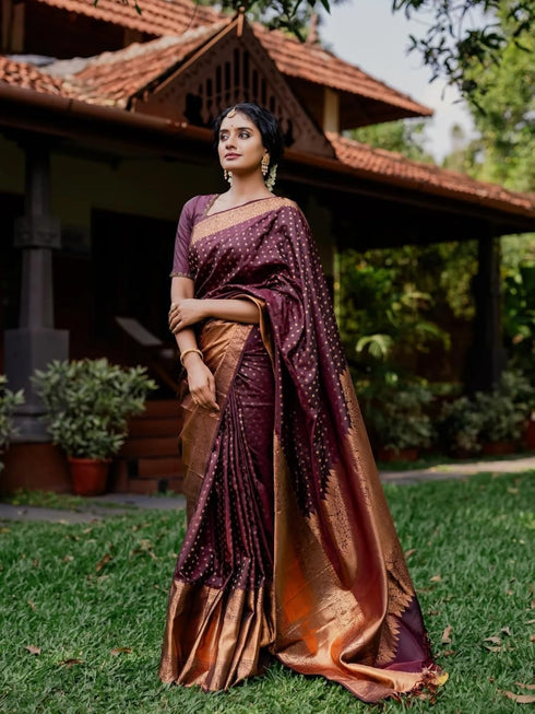 Vsathrlay Banarasi Kanchipuram Saree