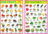 Educational Charts - Hindi Varnmala Chart, Alphabet, Numbers 1-100, Multiplication chart, Parts of The Body, Colours, Shapes, Animals-1, Fruit All in one and Vegetables