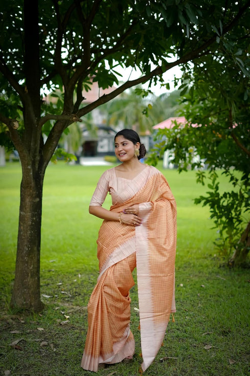 Vasthrlay Silk Saree Solid Design Pure