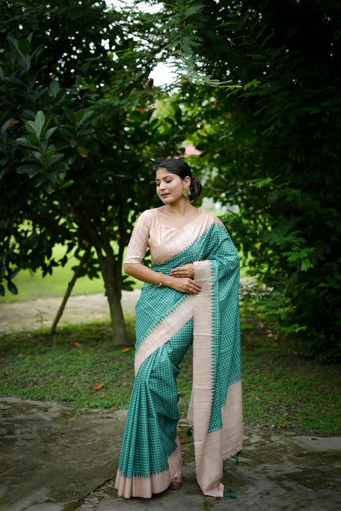 Vasthrlay Silk Saree Solid Design Pure