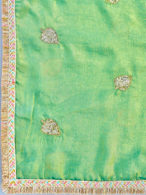 Vasthrlay Shimmer Embroidery Rani Saree