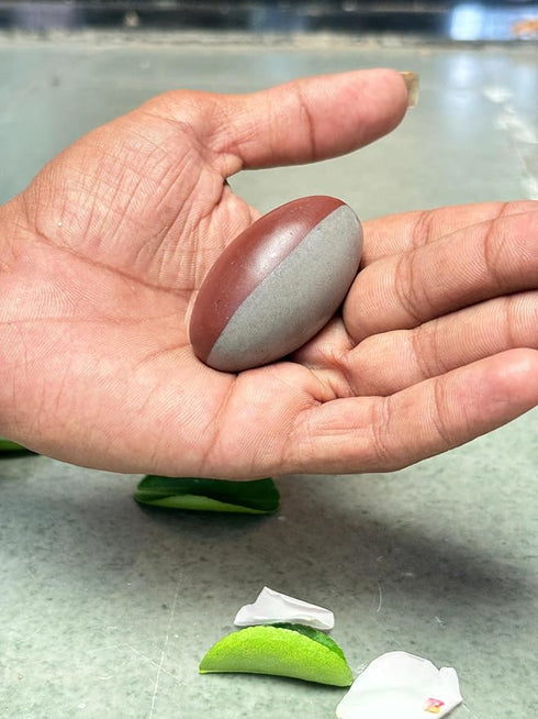 2 Inch Natural Mahakal Narmadeshwar Shivling with Sheshnaag 4 Inch Stone Jaladhari Puja, Mandir/Tample Home (Ardhnareshwar Shivling, Black Damru Jaladhari)