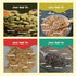 Nourish You Raw Mixed Seeds Combo Pack of 4