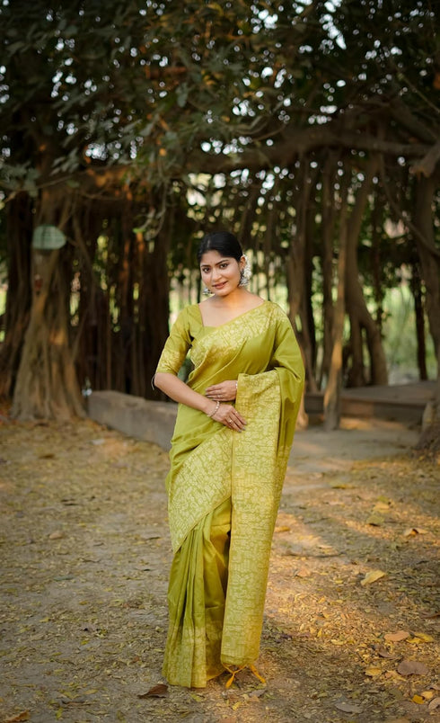 Vasthrlay Tussar Handloom Saree