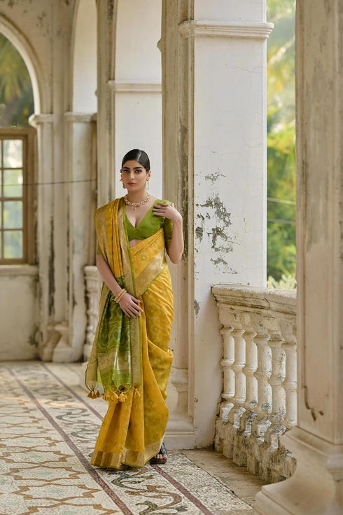 Vasthrlay Silk Saree Floral Patola Design