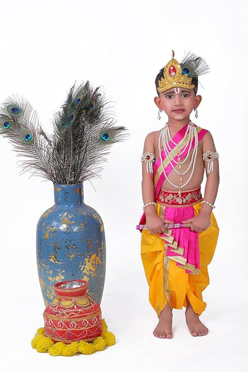 Raj Fancy Dresses Krishna Dress for Kids, Baby Krishna Dress for Janmashtami with Krishna Mukut
