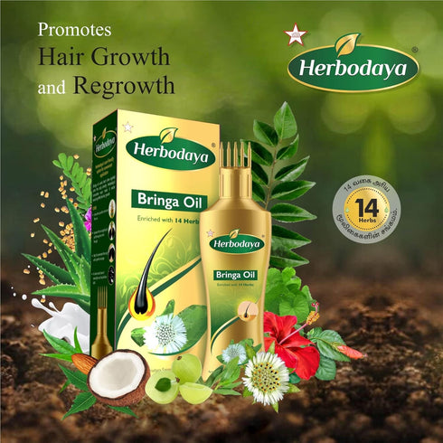 Herbodaya Bringa Oil