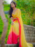 Vasthrlay Georgette Saree