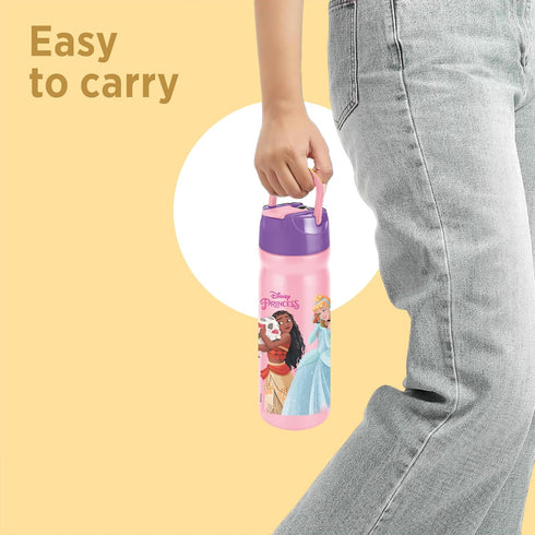 Milton Disney Max Bottle