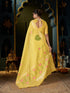 Vasthrlay Cotton Wedding Saree