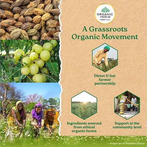 Organic India Triphala Powder box Powder