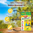 Dabur Glucoplus|C Lemon