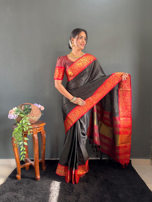 Vasthrlay Kanjivaram Traditional Contrast Included