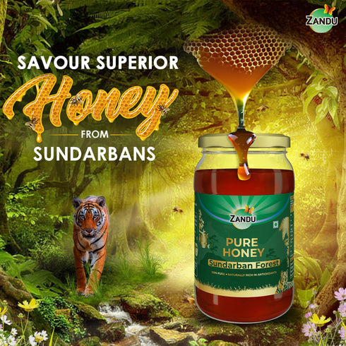 Zandu Pure Honey Sundarban Forest