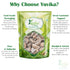 Yuvika Aam Guthli - Aam Magaj - Mengifera Indica - Mango Seed Kernel