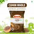 Suruchi Whole Cumin Jeera Seeds 100g Jeera Whole
