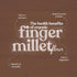 Bharat Vedica Organic Finger Millet Flour Organic Ragi ka atta