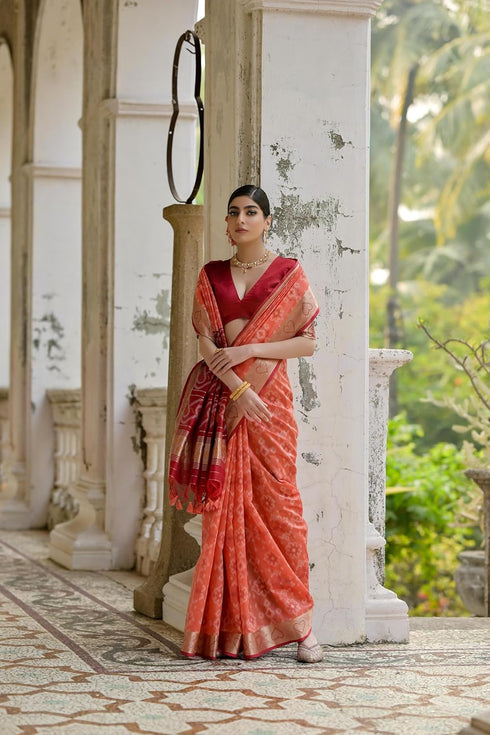 Vasthrlay Pochampally Saree Triangle