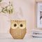 Modern Classy Happy Owl Resin Art Figurine | Beautiful Home Decor