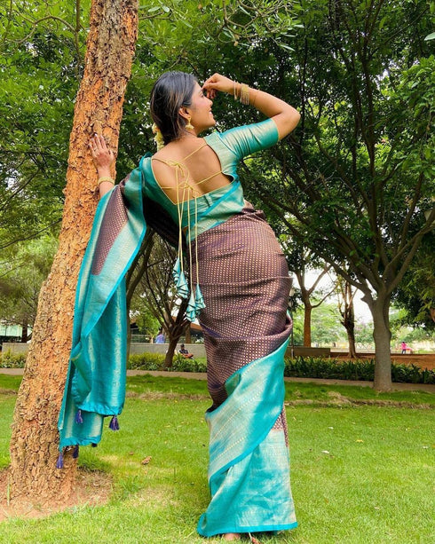 Vasthrlay Kanjivaram Saree