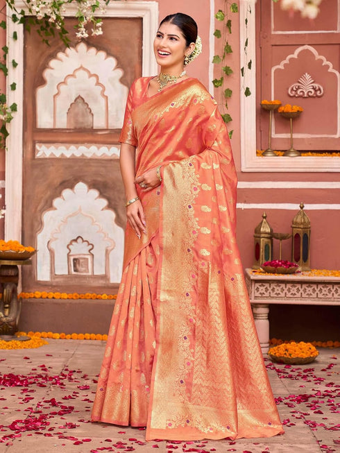 Vasthrlay Printed Light Saree