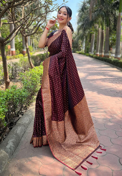 Vasthrlay Indigo Banarasi Kanchipuram Ethnic Wear