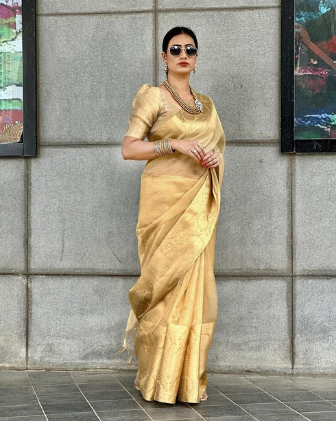 VasthrlayBanarasi Kanjivaram Unstitched Chiku Free Ethnic Wear