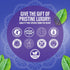 GuruNanda Ready-to-Go Disposable Mini Travel Toothbrushes