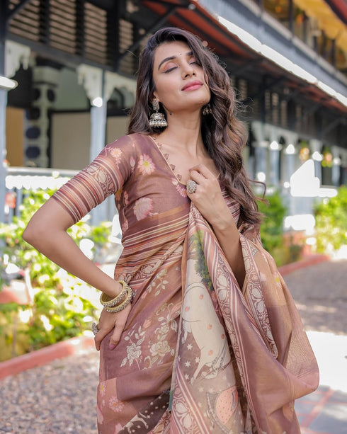 Vasthrlay Handloom Cotton Multicolour Saree