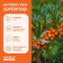 Nutrabud Organics Himalayan Sea Buckthorn Berry Juice - 500 ml