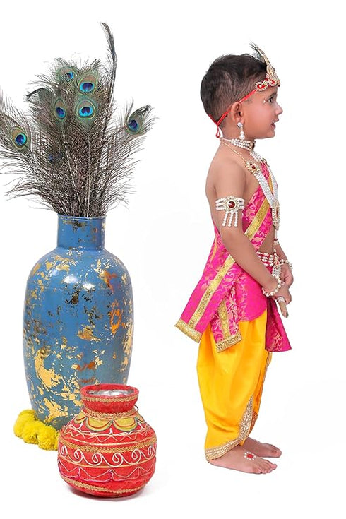 Raj Fancy Dresses Krishna Dress for Kids, Baby Krishna Dress for Janmashtami with Krishna Mukut