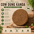 Tattvarupam Cow Dung Havan Kanda 30 Pcs
