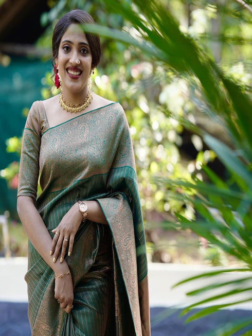 Vasthrlay Banarasi Saree