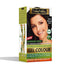 INDUS VALLEY Damage Free Natural Gel Hair Colour for Women 200ml