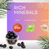 Meghsons Herbal Homemade Jamun Chips 80g