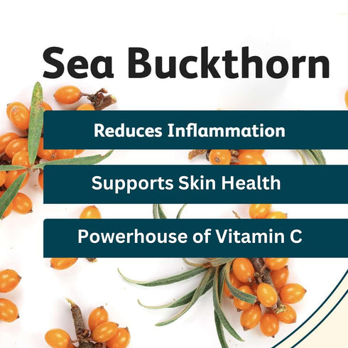 Seabuckthorn Premium Super Fine Powder